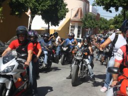 XVII Concentracion - 2010